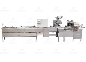 Automatic Horizontal Flow Wrapping Machine by HMPL